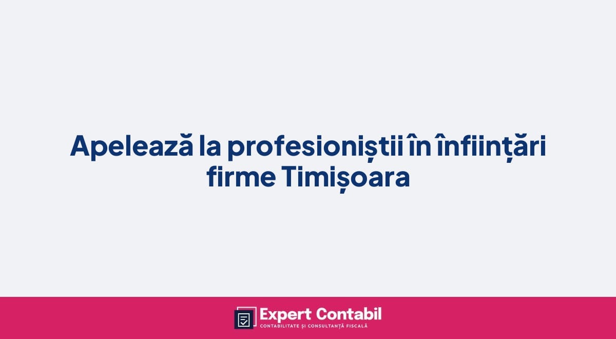 Apelează la profesioniștii în înființări firme Timișoara