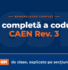 Lista completă coduri CAEN Rev. 3 - 651 clase explicate